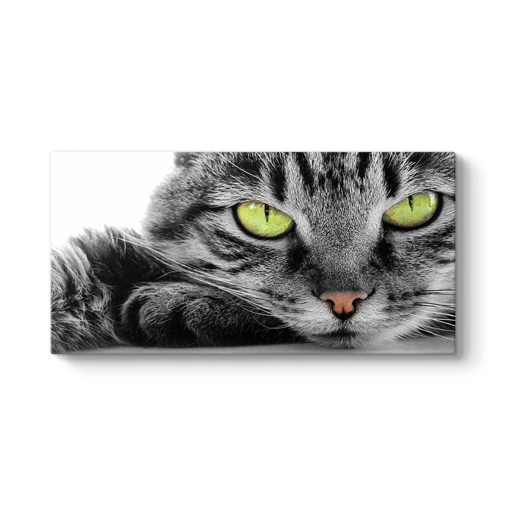Sarı Gözlü Kedi Tablosu - Model 5